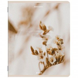 Тетради ДЭК А5 48 л. КОМПЛЕКТ 5 шт. BRAUBERG, скоба, клетка, SoftTouch, "ЭСТЕТИКА", 404949