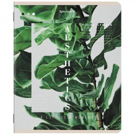 Тетради ДЭК А5 48 л. КОМПЛЕКТ 5 шт. BRAUBERG, скоба, клетка, SoftTouch, "ЭСТЕТИКА", 404949