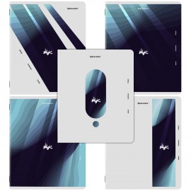 Тетради ДЭК А5 48 л. КОМПЛЕКТ 5 шт. BRAUBERG скоба, клетка, матовая ламинация, ENDLESS, 404952