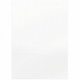 Сменный блок для тетради на кольцах EXTRA ПЛОТНЫЙ 100 г/м2 в точку А5 60л. BRAUBERG, 405018