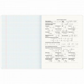 Тетрадь предметная КЛАССИКА ПРИРОДА 48 л., обложка картон, ФИЗИКА, клетка, подсказ, BRAUBERG, 405092