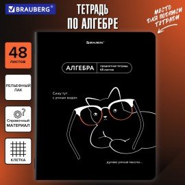 Тетрадь предметная МЕМЫ 48 л., TWIN-лак, АЛГЕБРА, клетка, подсказ, BRAUBERG, 405096