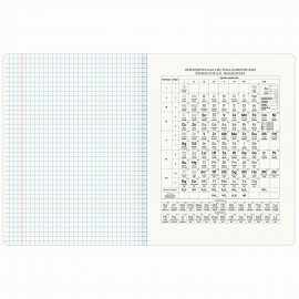 Тетрадь предметная МЕМЫ 48 л., TWIN-лак, ХИМИЯ, клетка, подсказ, BRAUBERG, 405107