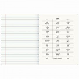 Тетрадь предметная CREATIVE 48 л., обложка картон, РУССКИЙ ЯЗЫК, линия, подсказ, BRAUBERG, 405118