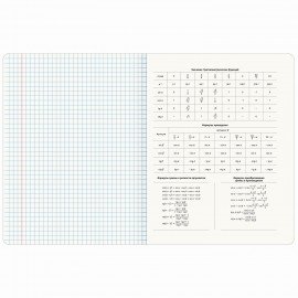 Тетрадь предметная ДАТЫ 48 л., TWIN-лак, АЛГЕБРА, клетка, подсказ, BRAUBERG, 405122