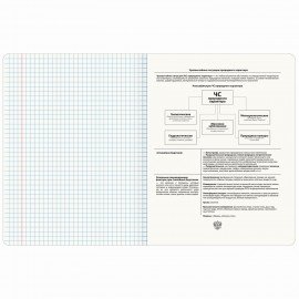 Тетрадь предметная ДАТЫ 48 л., TWIN-лак, ОБиЗР, клетка, подсказ, BRAUBERG, 405134