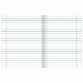 Тетради предметные, КОМПЛЕКТ 13 ПРЕДМЕТОВ, 36л, обложка мелованная бумага, BRAUBERG, КОЛОР, 405161