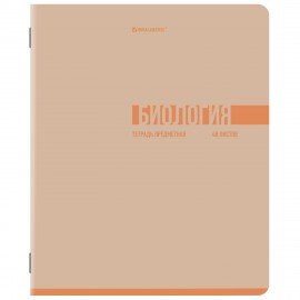 Тетради предметные, КОМПЛЕКТ 12 ПРЕДМЕТОВ, 48л, обложка картон, BRAUBERG, VIBE, 405163