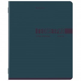 Тетради предметные, КОМПЛЕКТ 12 ПРЕДМЕТОВ, 48л, обложка картон, BRAUBERG, VIBE, 405163