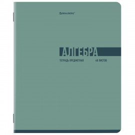 Тетради предметные, КОМПЛЕКТ 12 ПРЕДМЕТОВ, 48л, обложка картон, BRAUBERG, VIBE, 405163