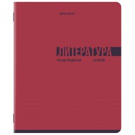 Тетради предметные, КОМПЛЕКТ 12 ПРЕДМЕТОВ, 48л, обложка картон, BRAUBERG, VIBE, 405163