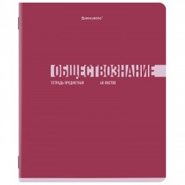 Тетради предметные, КОМПЛЕКТ 12 ПРЕДМЕТОВ, 48л, обложка картон, BRAUBERG, VIBE, 405163