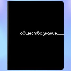 Тетради предметные, КОМПЛЕКТ 12 ПРЕДМЕТОВ, 48л, обложка картон, BRAUBERG, BLACK, 405164