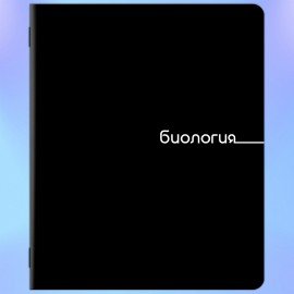 Тетради предметные, КОМПЛЕКТ 12 ПРЕДМЕТОВ, 48л, обложка картон, BRAUBERG, BLACK, 405164
