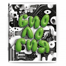 Тетради предметные, КОМПЛЕКТ 12 ПРЕДМЕТОВ, 48л, глянцевый УФ-лак, BRAUBERG, 3D LETTERS, 405169