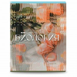 Тетради предметные, КОМПЛЕКТ 12 ПРЕДМЕТОВ, 48л, глянцевый УФ-лак, BRAUBERG, ILLUSION, 405171