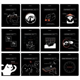 Тетради предметные, КОМПЛЕКТ 12 ПРЕДМЕТОВ, 48л, TWIN лак, BRAUBERG, МЕМЫ, 405172