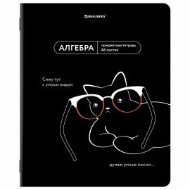 Тетради предметные, КОМПЛЕКТ 12 ПРЕДМЕТОВ, 48л, TWIN лак, BRAUBERG, МЕМЫ, 405172