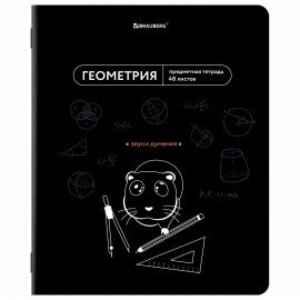 Тетради предметные, КОМПЛЕКТ 12 ПРЕДМЕТОВ, 48л, TWIN лак, BRAUBERG, МЕМЫ, 405172