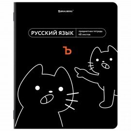 Тетради предметные, КОМПЛЕКТ 12 ПРЕДМЕТОВ, 48л, TWIN лак, BRAUBERG, МЕМЫ, 405172