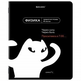 Тетради предметные, КОМПЛЕКТ 12 ПРЕДМЕТОВ, 48л, TWIN лак, BRAUBERG, МЕМЫ, 405172