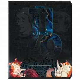 Тетради предметные, КОМПЛЕКТ 12 ПРЕДМЕТОВ, 48л, TWIN лак, BRAUBERG, ДАТЫ, 405173