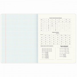 Тетради предметные, КОМПЛЕКТ 12 ПРЕДМЕТОВ, 48л, TWIN лак, BRAUBERG, ДАТЫ, 405173