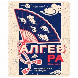 Тетради предметные, КОМПЛЕКТ 12 ПРЕДМЕТОВ, 48л, TWIN лак, BRAUBERG, ASIA, 405174