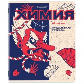 Тетради предметные, КОМПЛЕКТ 12 ПРЕДМЕТОВ, 48л, TWIN лак, BRAUBERG, ASIA, 405174