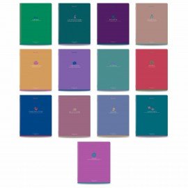 Тетради предметные, КОМПЛЕКТ 13 ПРЕДМЕТОВ, 48л, матовая ламинация, BRAUBERG, MONOCOLOR, 405175