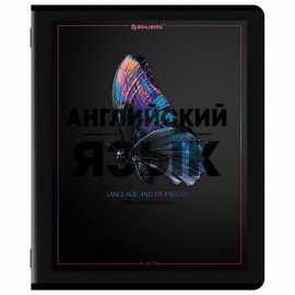 Тетради предметные, КОМПЛЕКТ 12 ПРЕДМЕТОВ, 48л, матовая ламинация, лак, BRAUBERG, MAJESTIC BLACK, 405177
