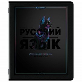 Тетради предметные, КОМПЛЕКТ 12 ПРЕДМЕТОВ, 48л, матовая ламинация, лак, BRAUBERG, MAJESTIC BLACK, 405177