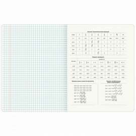 Тетради предметные, КОМПЛЕКТ 12 ПРЕДМЕТОВ, 48л, матовая ламинация, фольга, BRAUBERG, GOLDY, 405178