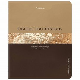 Тетради предметные, КОМПЛЕКТ 12 ПРЕДМЕТОВ, 48л, матовая ламинация, фольга, BRAUBERG, GOLDY, 405178