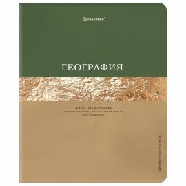 Тетради предметные, КОМПЛЕКТ 12 ПРЕДМЕТОВ, 48л, матовая ламинация, фольга, BRAUBERG, GOLDY, 405178
