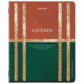 Тетради предметные, КОМПЛЕКТ 12 ПРЕДМЕТОВ, 48л, матовая ламинация, фольга, BRAUBERG, GOLDY, 405178