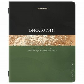 Тетради предметные, КОМПЛЕКТ 12 ПРЕДМЕТОВ, 48л, матовая ламинация, фольга, BRAUBERG, GOLDY, 405178