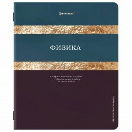 Тетради предметные, КОМПЛЕКТ 12 ПРЕДМЕТОВ, 48л, матовая ламинация, фольга, BRAUBERG, GOLDY, 405178