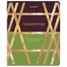 Тетради предметные, КОМПЛЕКТ 12 ПРЕДМЕТОВ, 48л, матовая ламинация, фольга, BRAUBERG, GOLDY, 405178