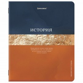 Тетради предметные, КОМПЛЕКТ 12 ПРЕДМЕТОВ, 48л, матовая ламинация, фольга, BRAUBERG, GOLDY, 405178