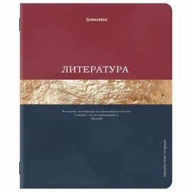Тетради предметные, КОМПЛЕКТ 12 ПРЕДМЕТОВ, 48л, матовая ламинация, фольга, BRAUBERG, GOLDY, 405178