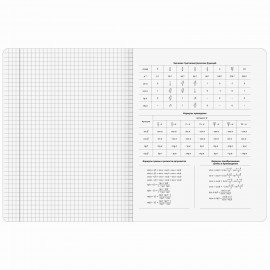 Тетради предметные, КОМПЛЕКТ 12 ПРЕДМЕТОВ, 48л, SoftTouch, BRAUBERG, РИТМ, 405181