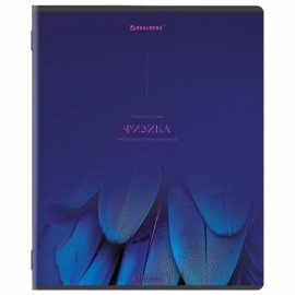 Тетради предметные, КОМПЛЕКТ 13 ПРЕДМЕТОВ, 48л, SoftTouch, BRAUBERG, PEACEFUL, 405182