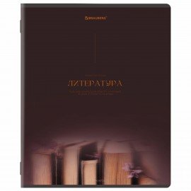 Тетради предметные, КОМПЛЕКТ 13 ПРЕДМЕТОВ, 48л, SoftTouch, BRAUBERG, PEACEFUL, 405182