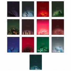 Тетради предметные, КОМПЛЕКТ 13 ПРЕДМЕТОВ, 48л, SoftTouch, BRAUBERG, PEACEFUL, 405182