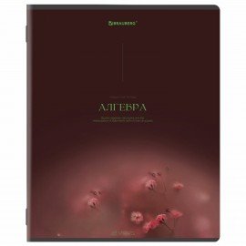 Тетради предметные, КОМПЛЕКТ 13 ПРЕДМЕТОВ, 48л, SoftTouch, BRAUBERG, PEACEFUL, 405182