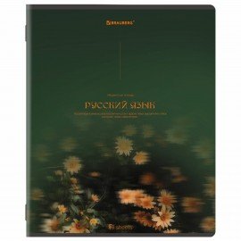 Тетради предметные, КОМПЛЕКТ 13 ПРЕДМЕТОВ, 48л, SoftTouch, BRAUBERG, PEACEFUL, 405182