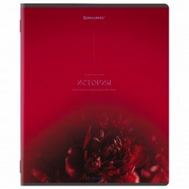 Тетради предметные, КОМПЛЕКТ 13 ПРЕДМЕТОВ, 48л, SoftTouch, BRAUBERG, PEACEFUL, 405182