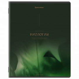 Тетради предметные, КОМПЛЕКТ 13 ПРЕДМЕТОВ, 48л, SoftTouch, BRAUBERG, PEACEFUL, 405182