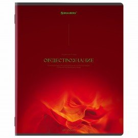 Тетради предметные, КОМПЛЕКТ 13 ПРЕДМЕТОВ, 48л, SoftTouch, BRAUBERG, PEACEFUL, 405182